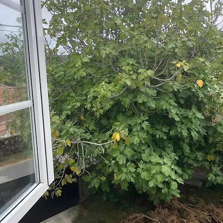 Hébergement de vacances Casa Selvita *
